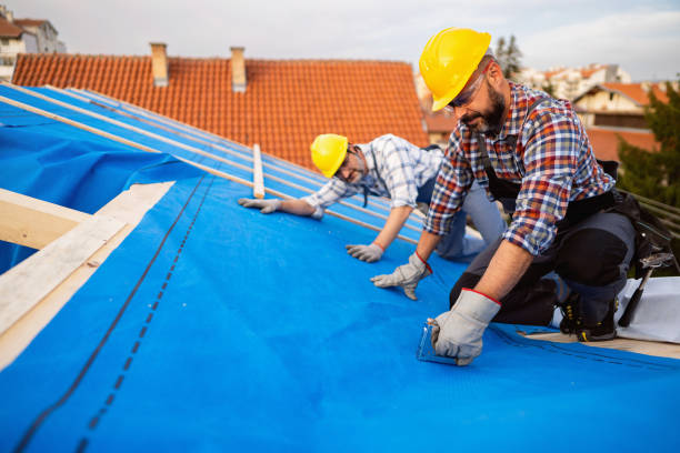 Best Roof Gutter Cleaning  in Upper Sandusky, OH